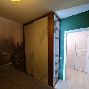 Шкаф-купе 17