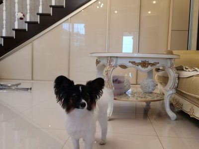 0-02-0a-4e2ce1d8ed324aae31a644f7bd7c242aa6c8cfaff5a6d3fa251eaba1103c8e5d_6cbfedc88135b3f9