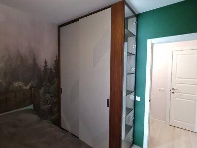 Шкаф-купе 17