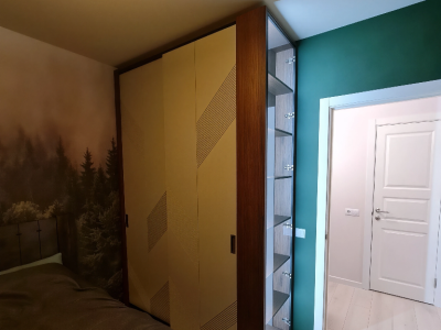 Шкаф-купе 17